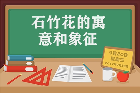 石竹花的寓意和象征意義（石竹花的花語及特點）
