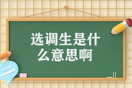 選調(diào)生是什么意思啊（選調(diào)生和公務(wù)員的區(qū)別）