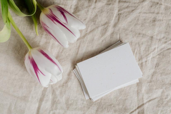 2024arwu澳大利亞傳媒專業排名怎么樣 2024arwu澳大利亞傳媒專業排名怎么樣