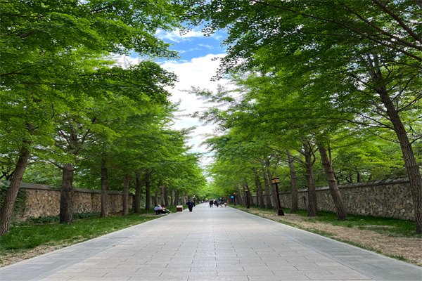 2023澳大利亞博士留學(xué)費(fèi)用