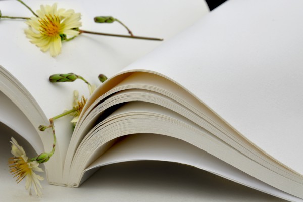 全球導演系大學排名(2024年全球導演系大學排行) 全球導演系大學排名(2024年全球導演系大學排行)