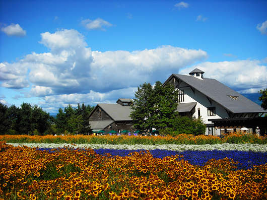 日本如何移民，難嗎？其實申請日本移民很簡單！