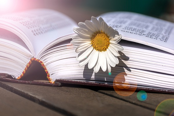 2024年QS肯特大學世界排名第幾