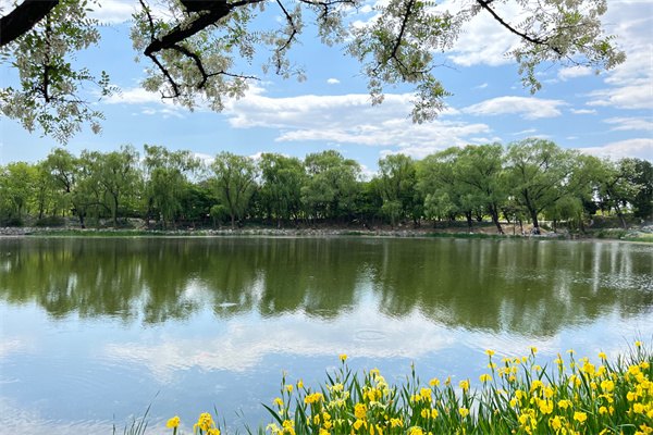 2023美國大學前十排行榜