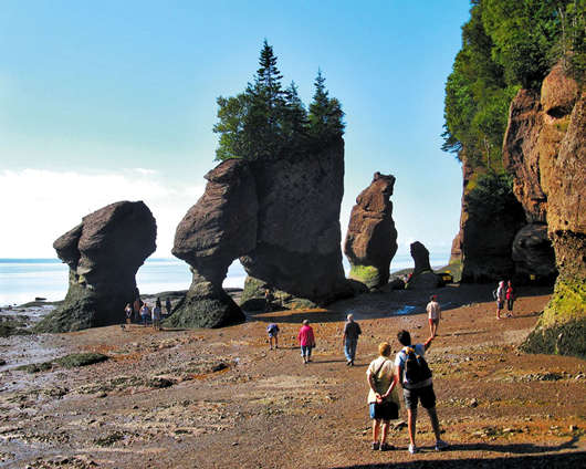 最容易移民加拿大的省份有哪些，加拿大各省移民人數統計！