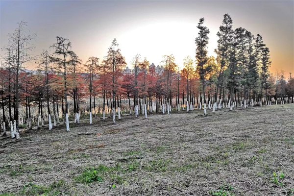 2023澳大利亞博士留學(xué)費(fèi)用