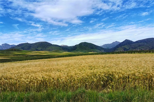 2023澳大利亞大學留學一年費用