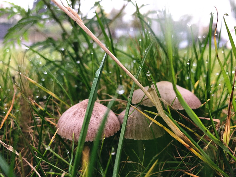 芬蘭藝術留學費用多少 芬蘭藝術留學可以打工嗎