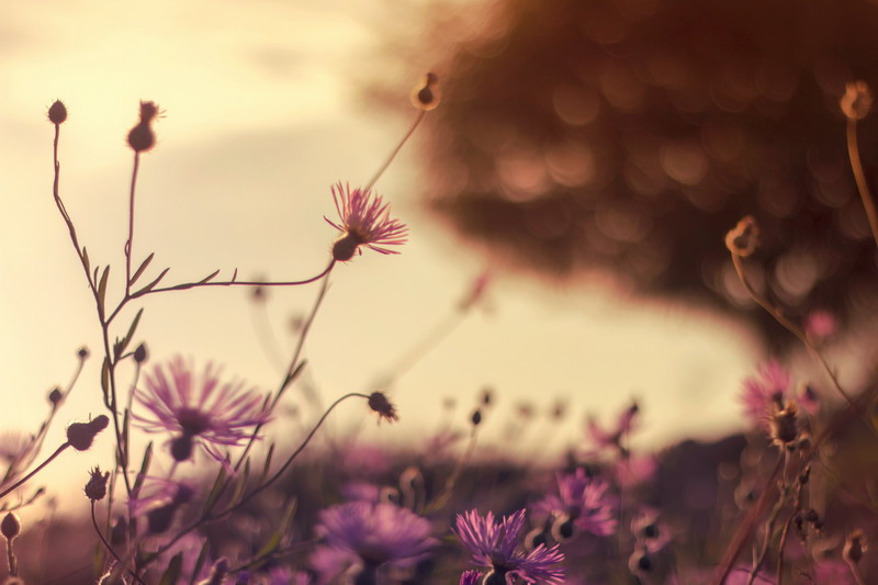 美國時裝學院排名