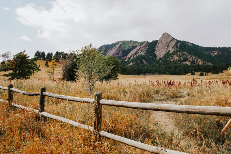 日本藝術研究生留學條件，日本藝術專業院校推薦