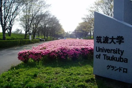 日本筑波大學(xué)世界排名怎么樣？